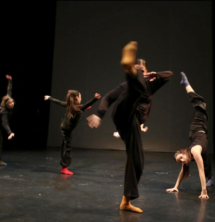 Dani Smiljane Mandukić