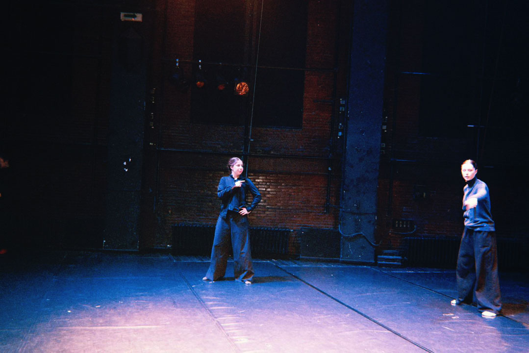 Dani Smiljane Mandukić