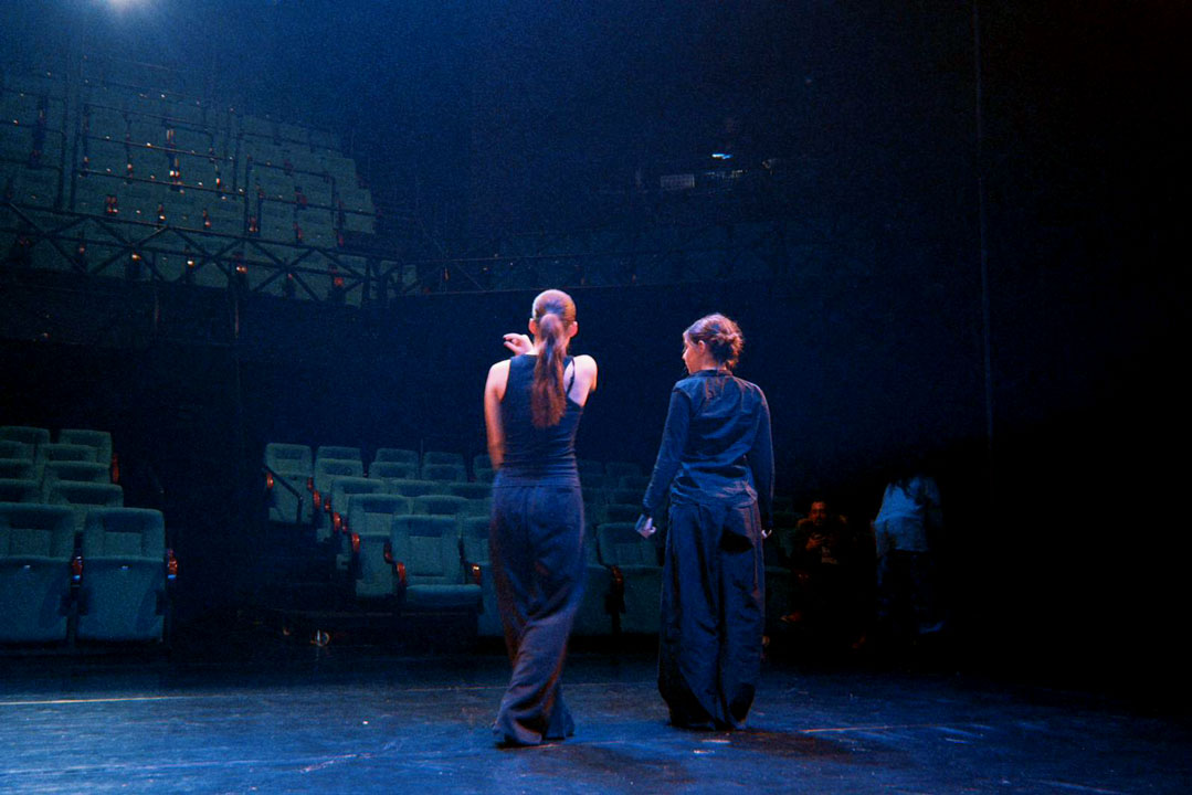 Dani Smiljane Mandukić